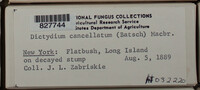 Image Associated With the Occurence